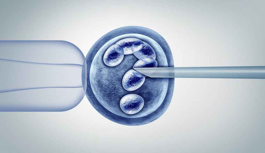 Is IVF Pro-Life