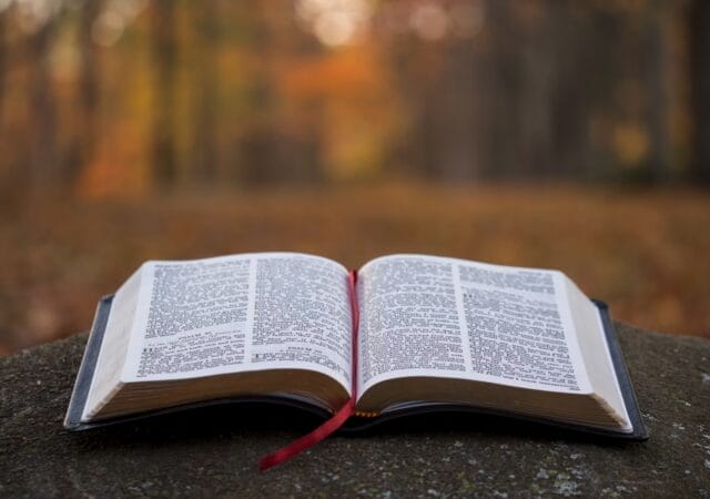 A close-up view of an open book